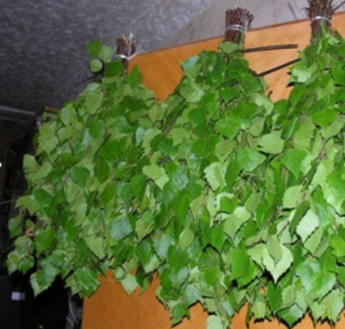 berezovyi-venik-dlya-bani-2