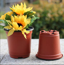 Выбираем горшок для цветов