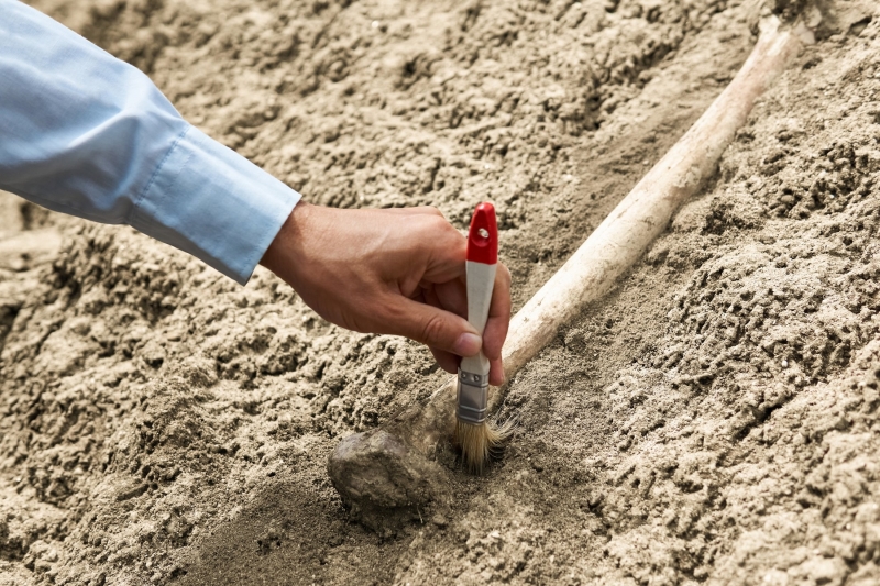 Археологи нашли в Китае доспех ассирийского воина